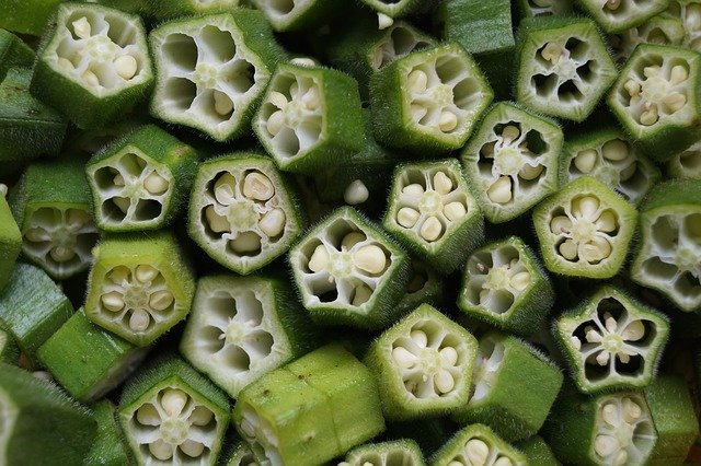 오크라-단면-사진