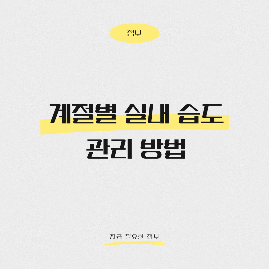 계절별 실내 습도 관리 방법 제대로 확인하세요