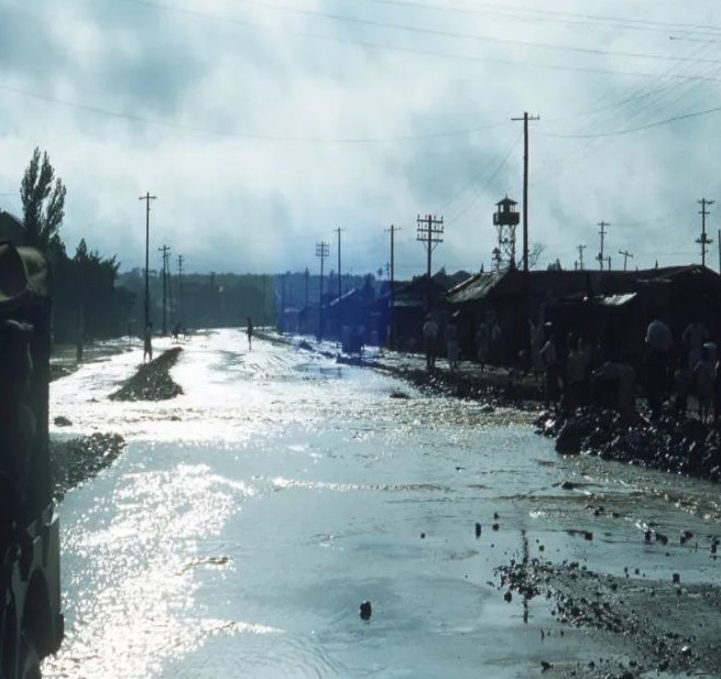 큰 홍수나는 꿈