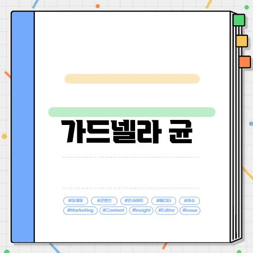 가드넬라 균