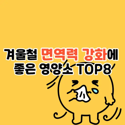 겨울철 면역력 강화에 좋은 영양소 TOP 8
