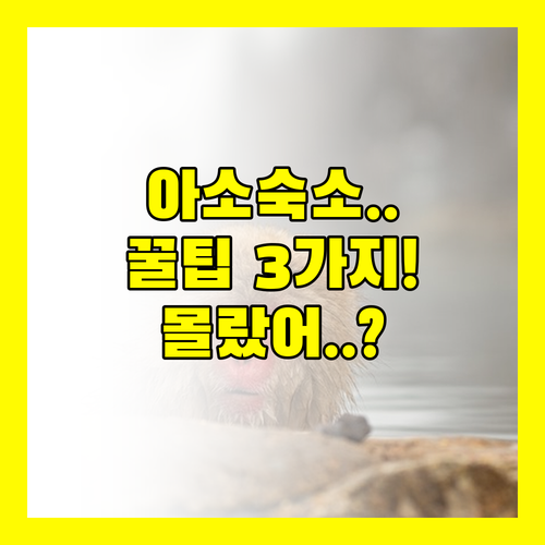 나만 몰랐던 아소 온천숙소 선택법 3..