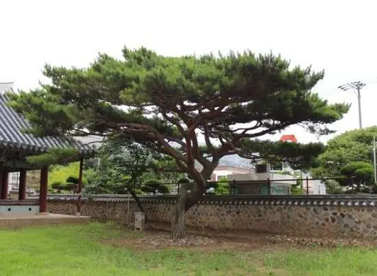 거제현관아