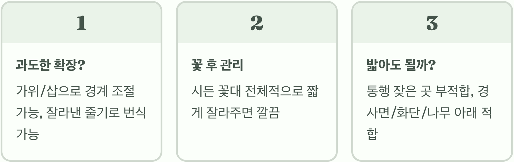 지긋지긋한 잡초 제거, 꽃잔디가 정답인 이유