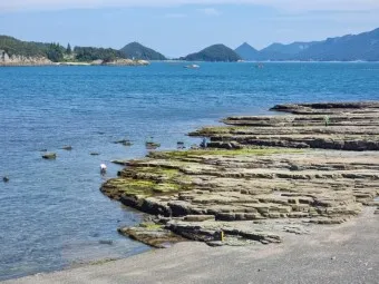 경남 고성 맛집 베스트10 현지인 숨겨진 맛집_18