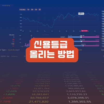 신용등급 올리는 법