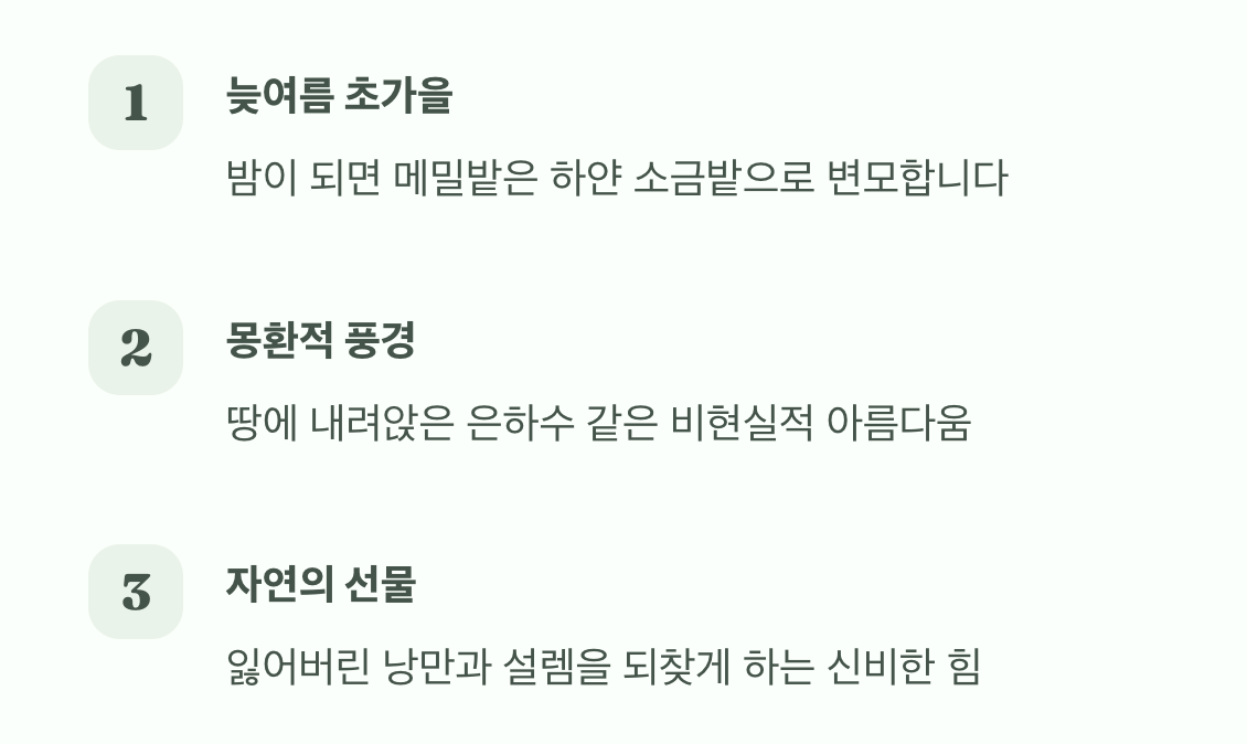 달빛 아래 소금을 뿌린 듯