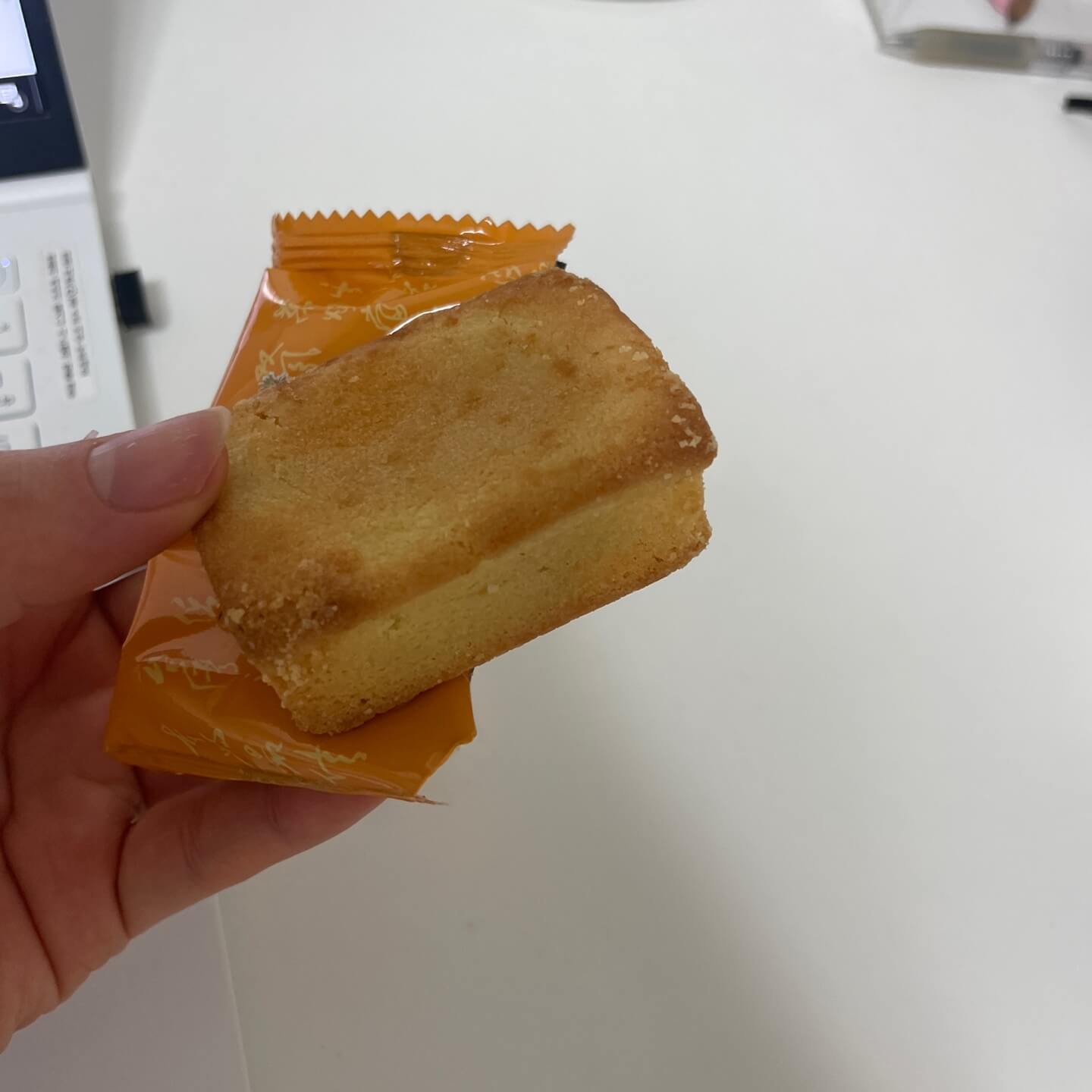 대만여행