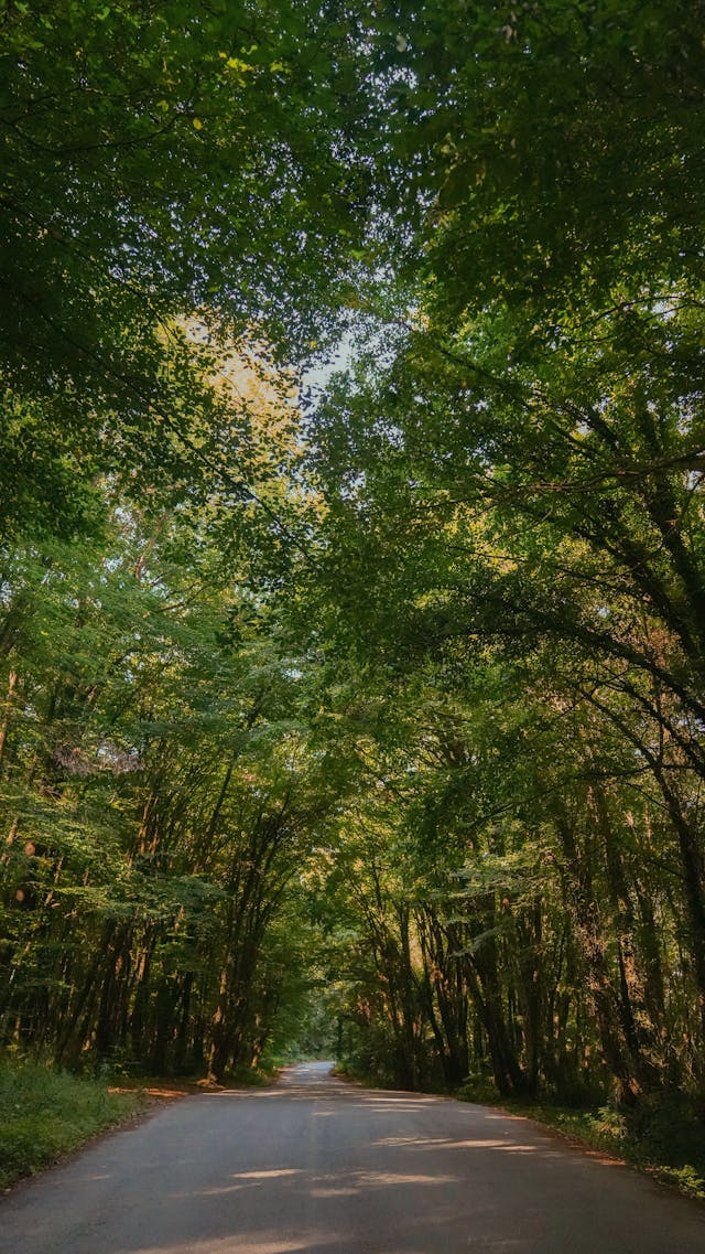 2025년 8월 10일부터 8월 16일까지 전국 날씨1