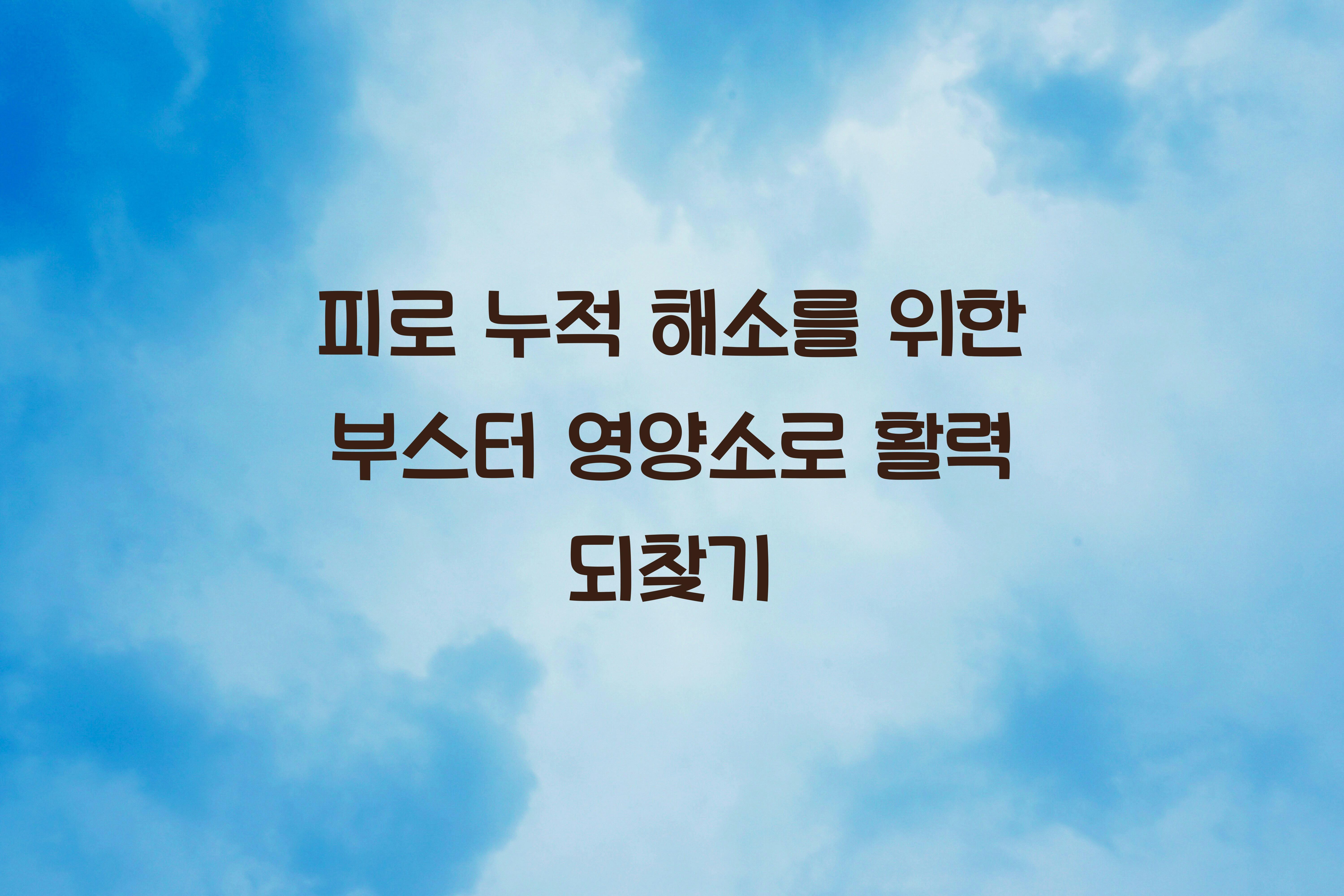 피로 누적 해소를 위한 부스터 영양소