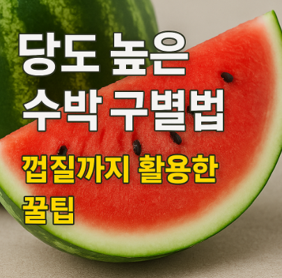 당도-높은-수박-구별법-껍질까지-활용하기