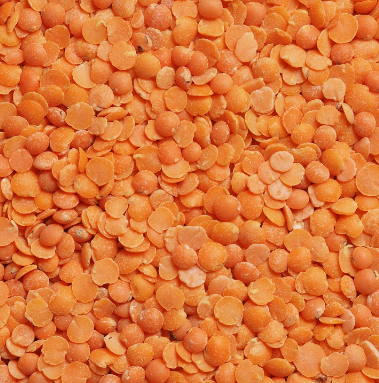 빈혈에 좋은 음식 : 렌틸콩