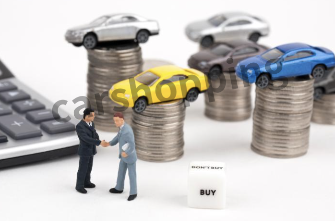 운전면허증 진위여부조회