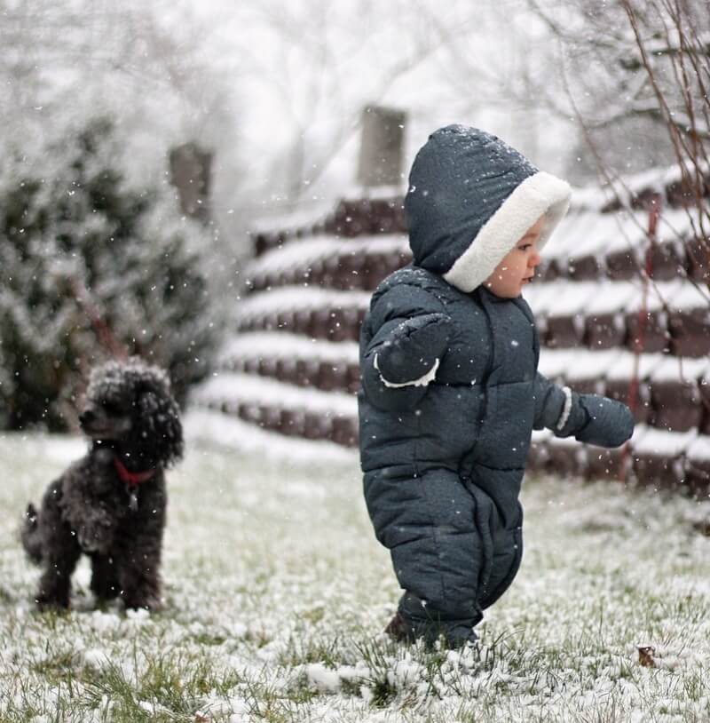눈이 내리는데 푸들 강아지와 아기가 놀고 있는 사진