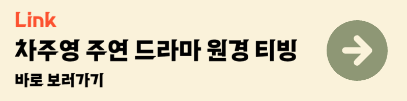 차주영 주연 tvn 티빙 드라마 원경