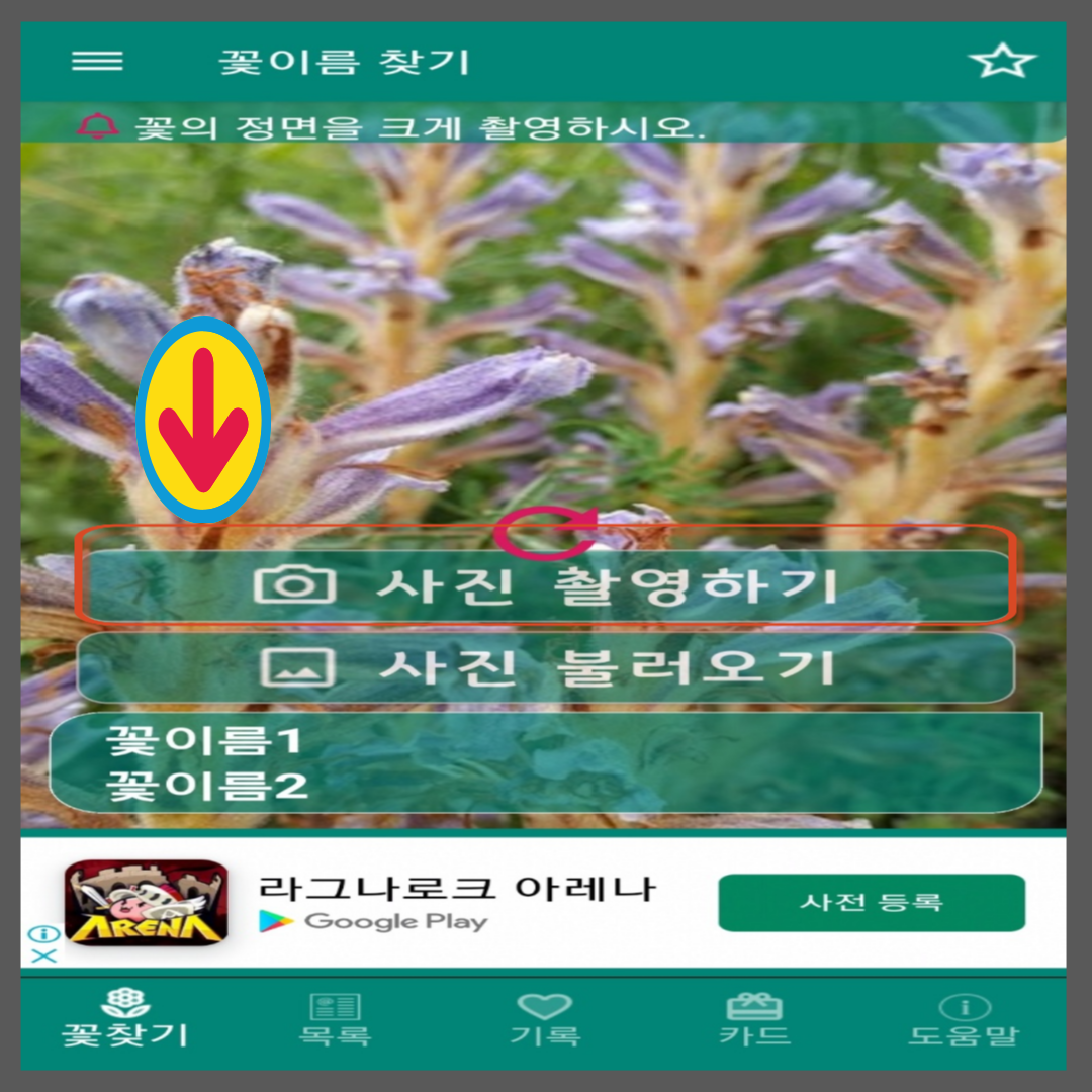 꽃이름 찾기 앱