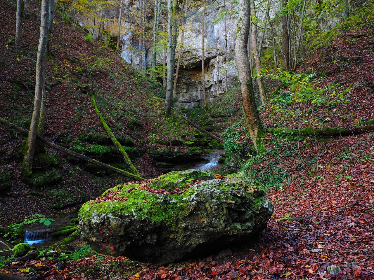 삼척 대금굴 예약 방법
