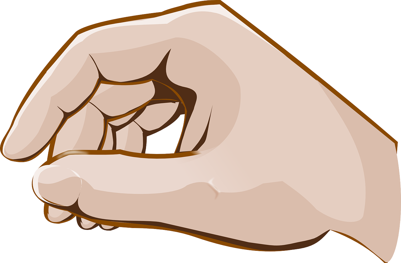 손과 관련된 사진