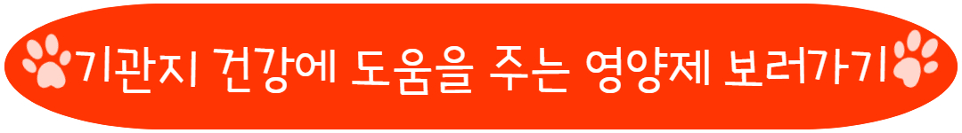 기관지 건강에 도움을 주는 영양제