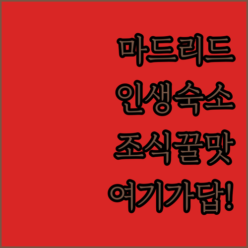 스페인 마드리드 여행 숙소 결정판 위..