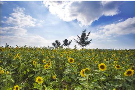 5월 국내여행지 베스트 10