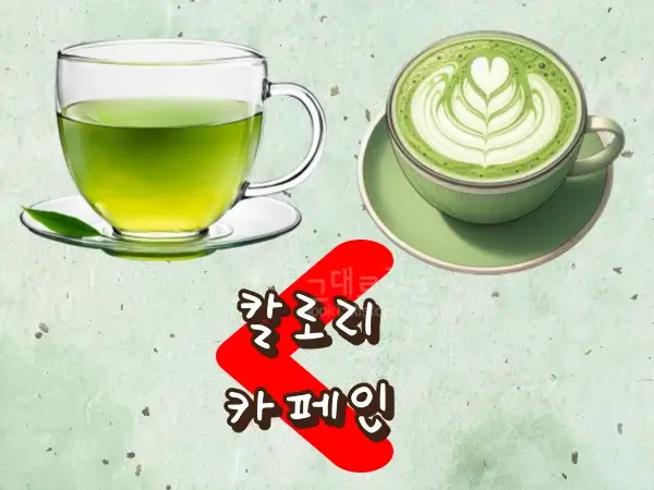 카페인과 칼로리 비교