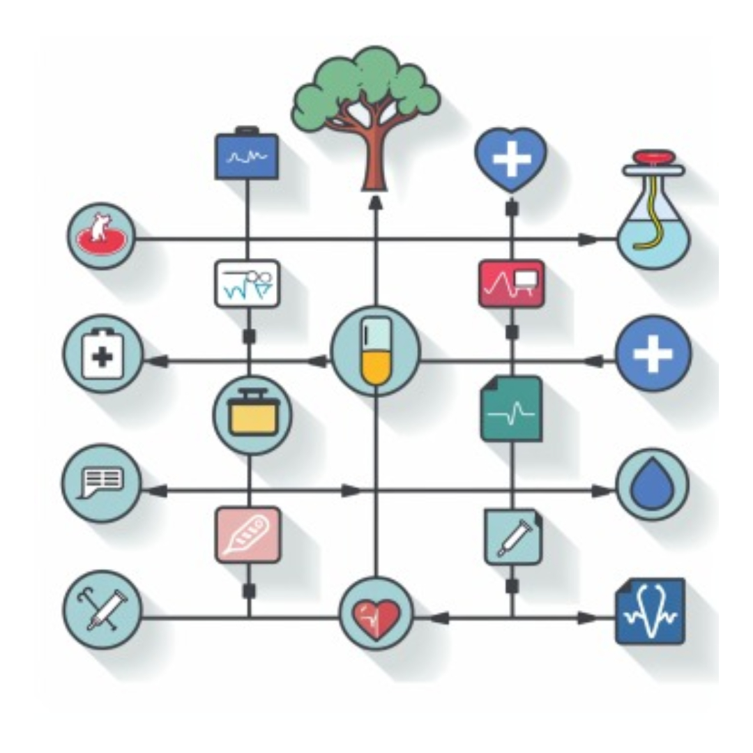 설암과 관련된 사진입니다.