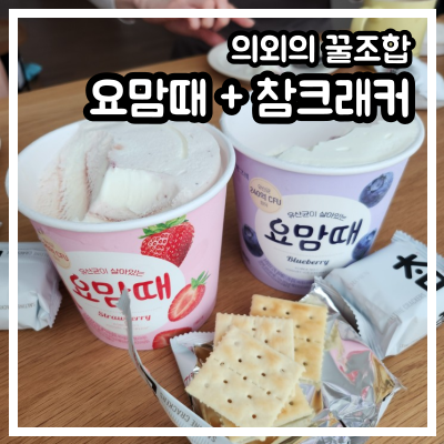 의외의 꿀조합! 요맘때 참크래커 샌드