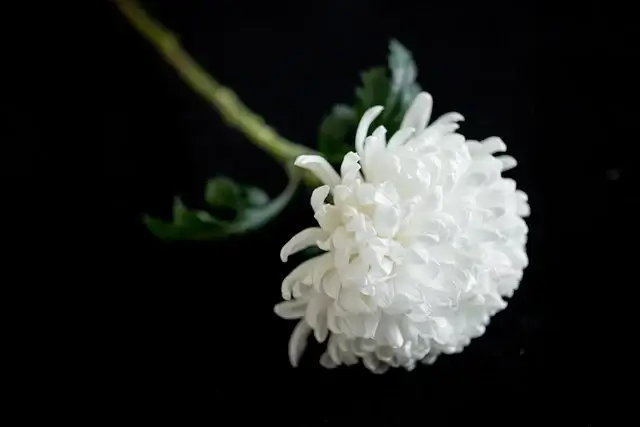 안심상속 원스톱 서비스 신청 필요 서류 및 신청 방법