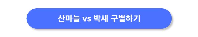 버튼
