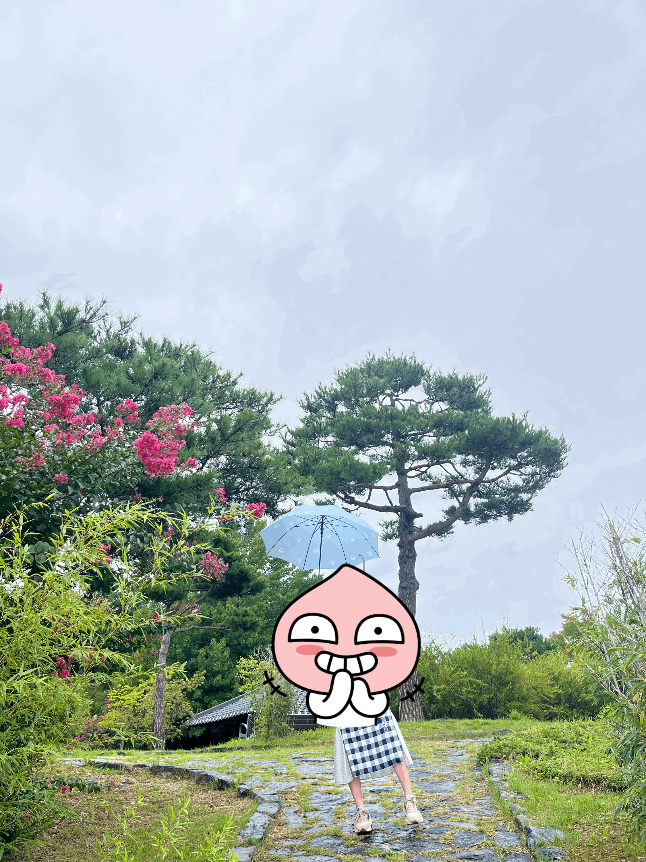 양양-오죽헌-갈만한-곳