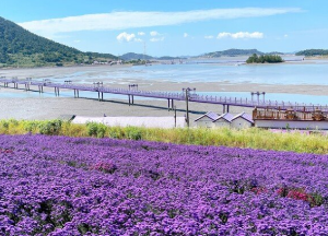 이색 여행지 BEST 4