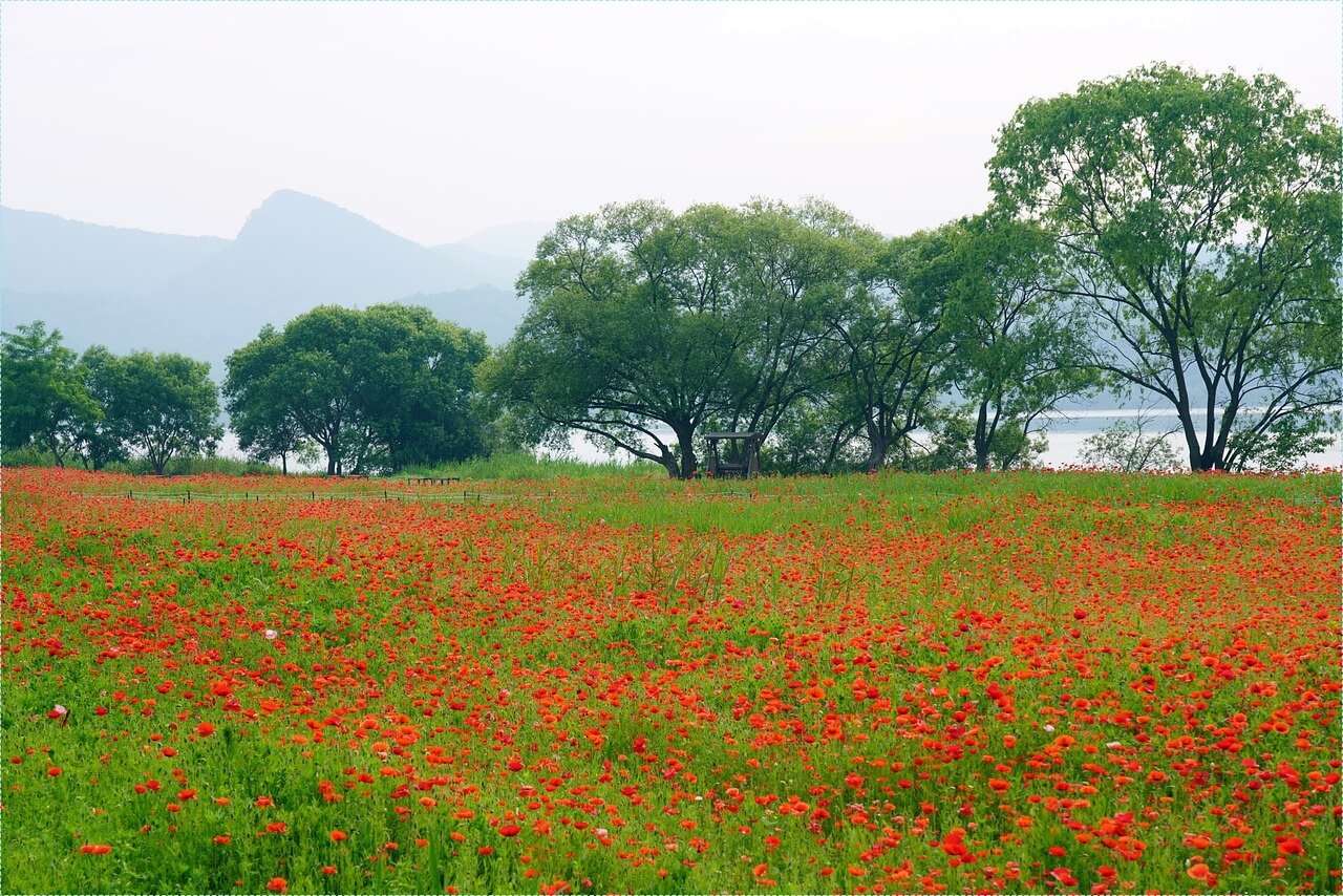적금 이율 높은 은행