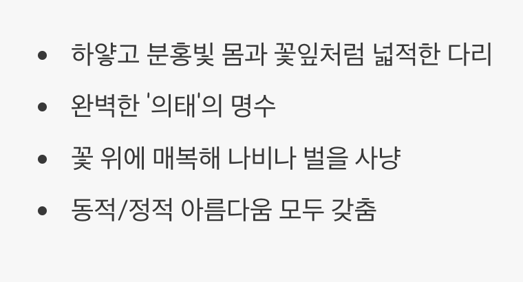 살아있는 꽃, 꽃사마귀의 매력