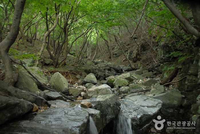 홍성 가볼만한곳 베스트10