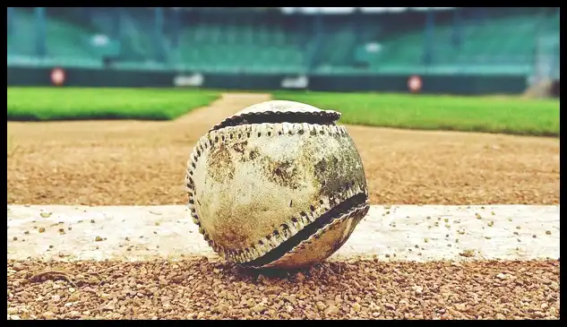 2024 WBSC 야구 프리미어 12 최종 명단 엔트리 확정!