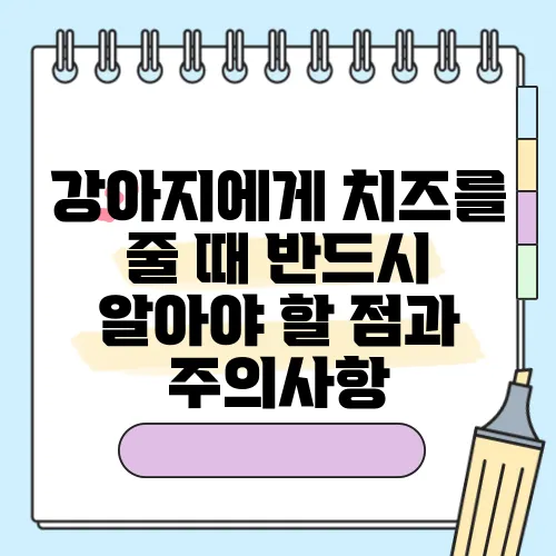 강아지에게 치즈를 줄 때 반드시 알아야 할 점과 주의사항