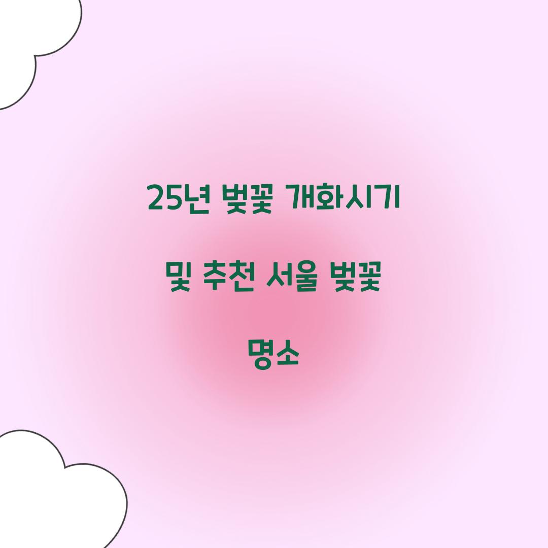 25년 벚꽃 개화시기