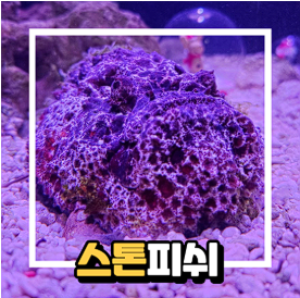 대구 아쿠아리움 입장료 할인