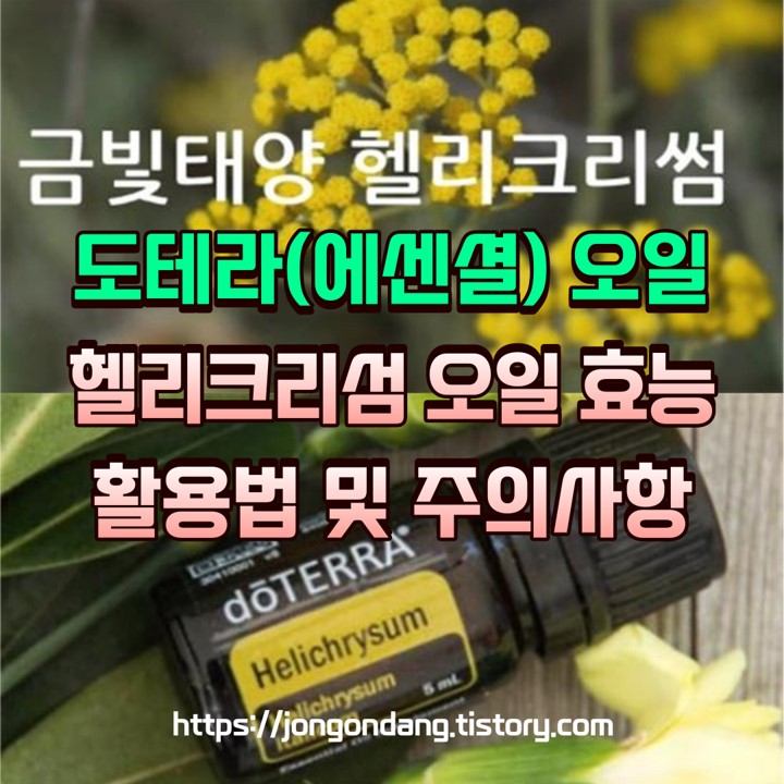 도테라 헬리크리섬 오일 효능과 활용법, 주의사항 이미지