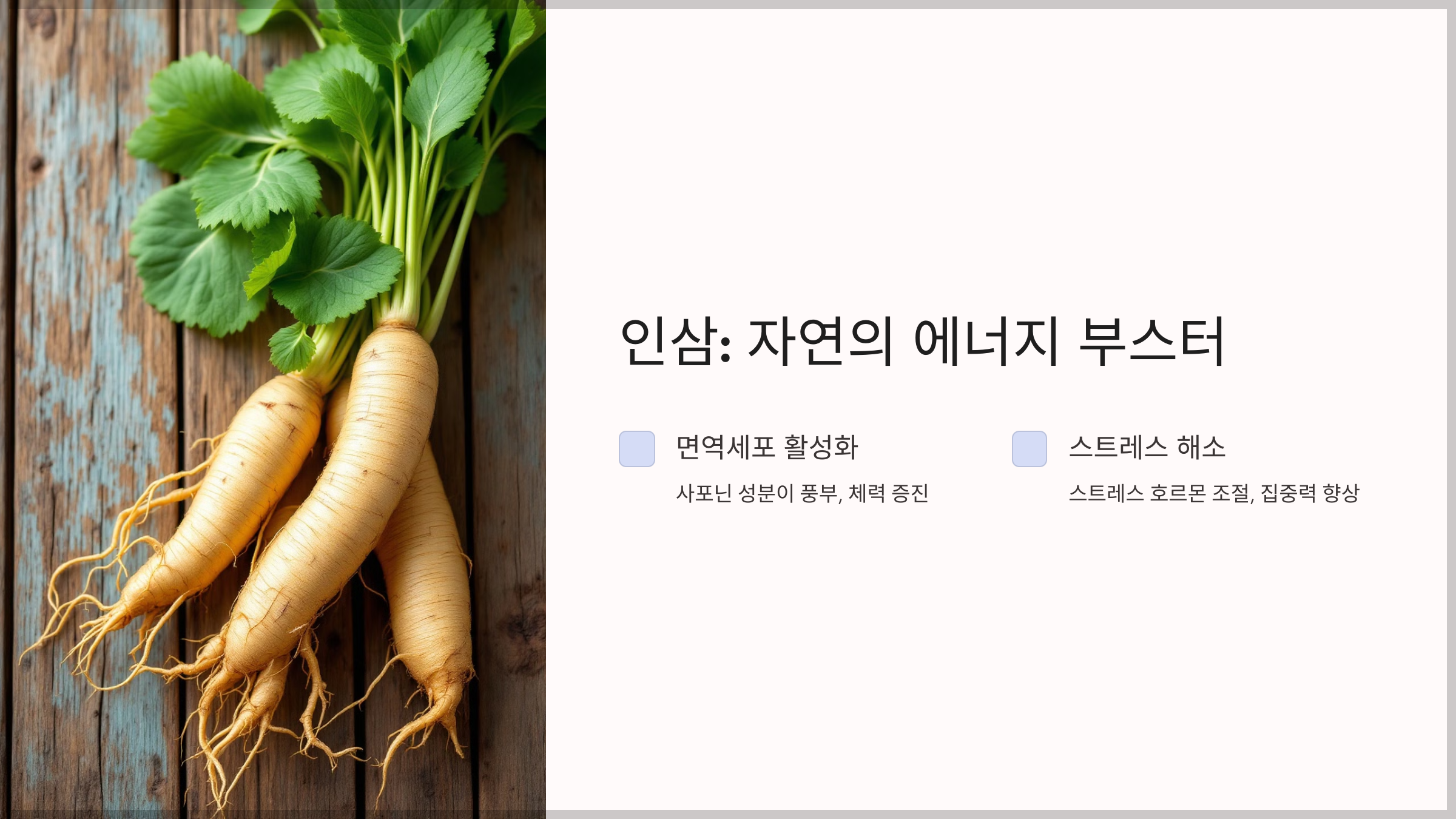 면역력 높이는 약초