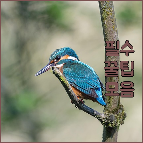 골프 고민 해결! 필드멘토의 맞춤형 ..