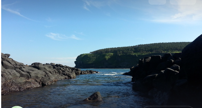 곶자왈 사진은 아님