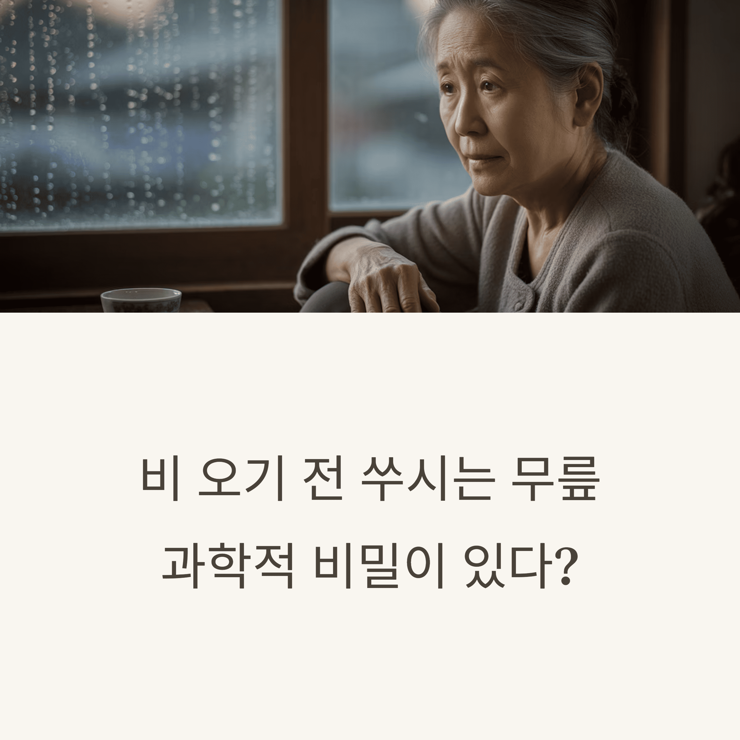 내 무릎은 기상청