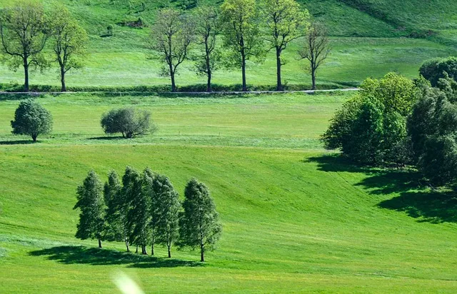 봄철 강풍 꽃가루 농도 알레르기 마스크 관리_8