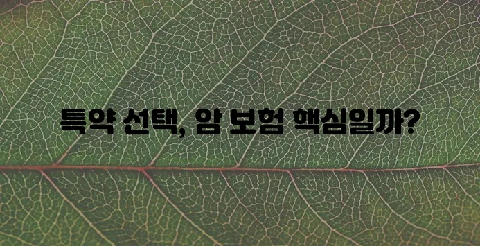 암 보험 종류별 주요 특약, 꼼꼼히 알아봐야겠죠!