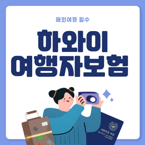 저렴한 하와이 여행자보험 추천