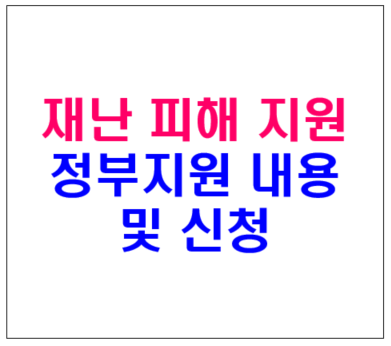 재난 피해 정부지원