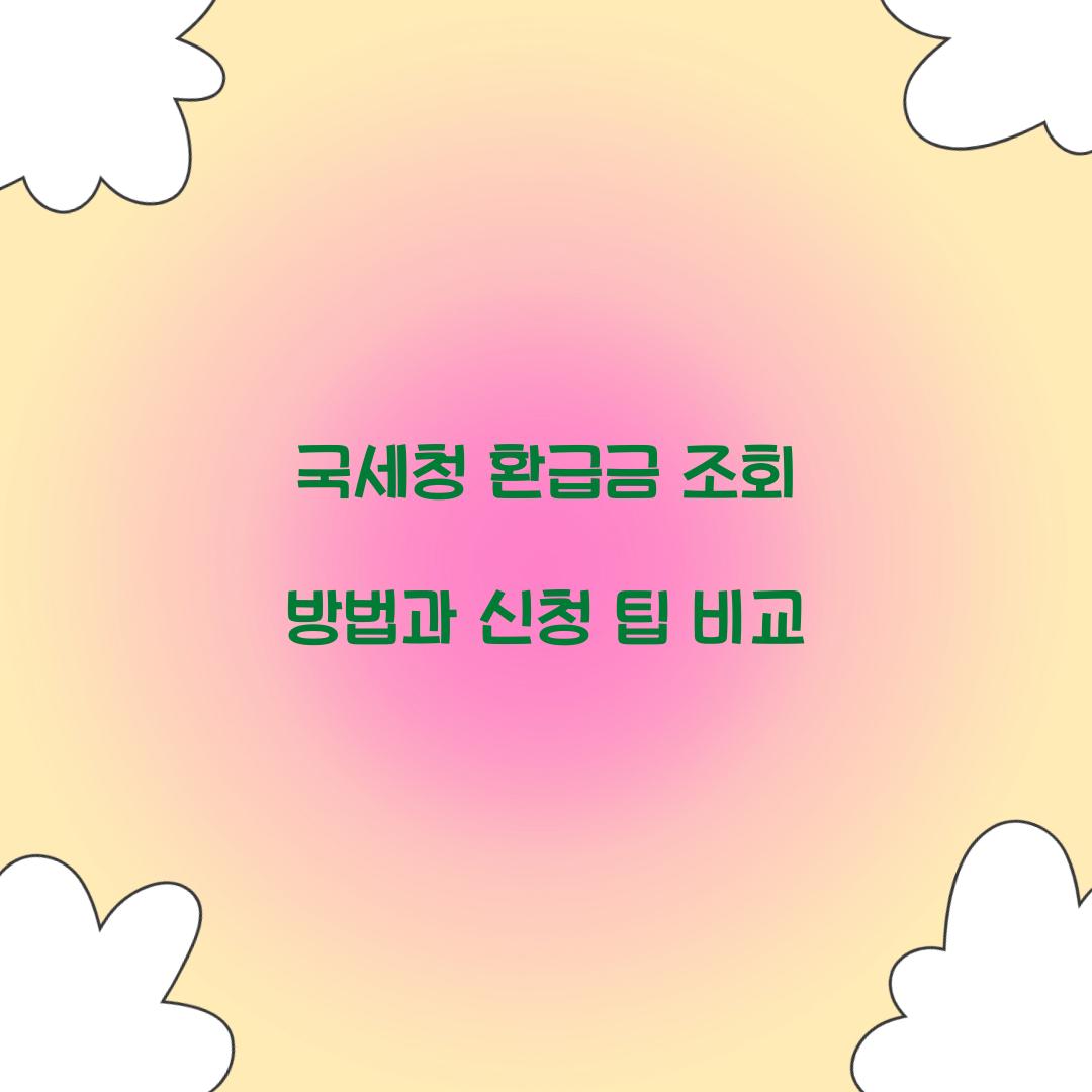 국세청 환급금 조회