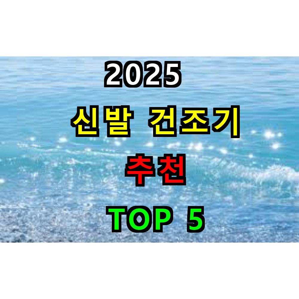 2025 신발 건조기 추천 TOP 5